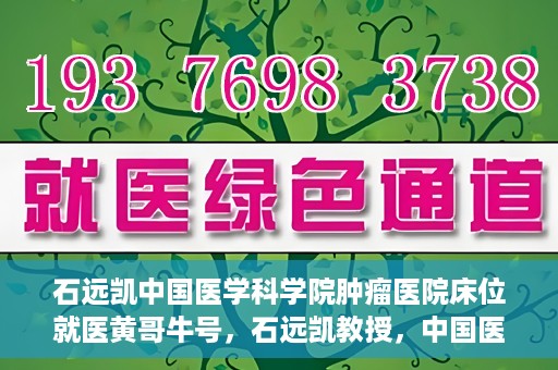 石远凯中国医学科学院肿瘤医院床位就医黄哥牛号，石远凯教授，中国医学科学院肿瘤医院床位就医攻略与黄哥牛号的故事