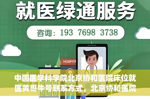 中国医学科学院北京协和医院床位就医黄哥牛号联系方式，北京协和医院床位就医攻略，黄哥牛号联系方式揭秘