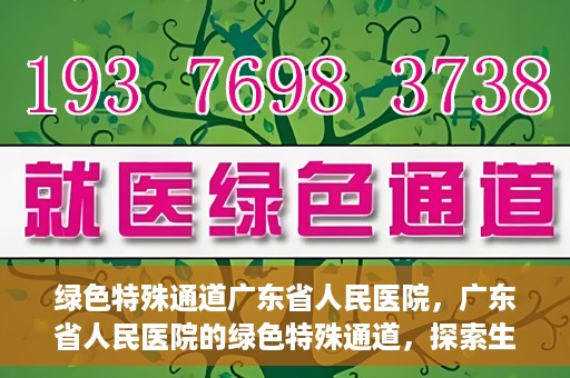 绿色特殊通道广东省人民医院，广东省人民医院的绿色特殊通道，探索生命的新路径