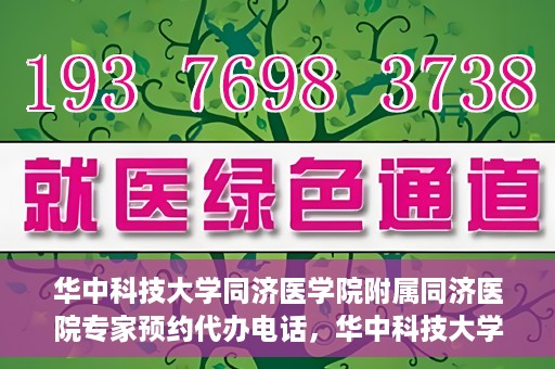 华中科技大学同济医学院附属同济医院专家预约代办电话，华中科技大学同济医学院附属同济医院专家预约代办服务热线