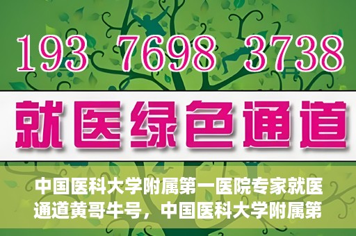 中国医科大学附属第一医院专家就医通道黄哥牛号，中国医科大学附属第一医院专家就医通道揭秘，黄哥牛号引领就医新风尚