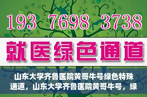 山东大学齐鲁医院黄哥牛号绿色特殊通道，山东大学齐鲁医院黄哥牛号，绿色特殊通道开启健康之门