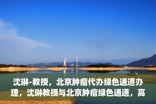 沈琳-教授，北京肿瘤代办绿色通道办理，沈琳教授与北京肿瘤绿色通道，高效代办助力健康之路