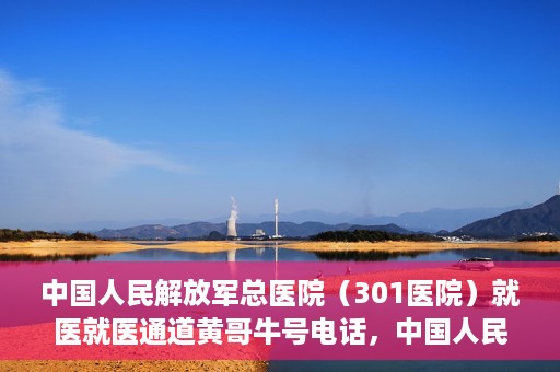 中国人民解放军总医院（301医院）就医就医通道黄哥牛号电话，中国人民解放军总医院（301医院）就医通道详解，黄哥牛号电话与就医指南