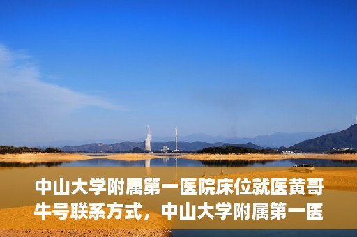中山大学附属第一医院床位就医黄哥牛号联系方式，中山大学附属第一医院床位就医攻略，黄哥牛号联系方式揭秘