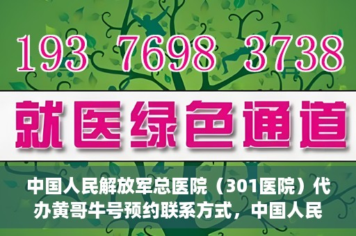 中国人民解放军总医院（301医院）代办黄哥牛号预约联系方式，中国人民解放军总医院（301医院）黄哥牛号预约联系方式全解析