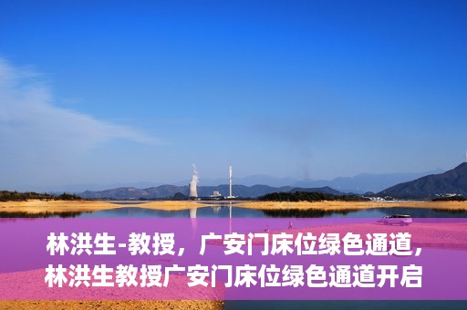 林洪生-教授，广安门床位绿色通道，林洪生教授广安门床位绿色通道开启之门