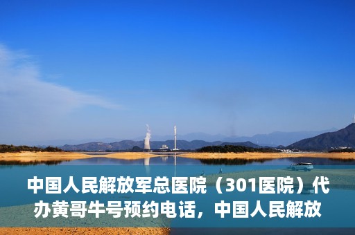 中国人民解放军总医院（301医院）代办黄哥牛号预约电话，中国人民解放军总医院（301医院）黄哥牛号预约电话代办服务详解