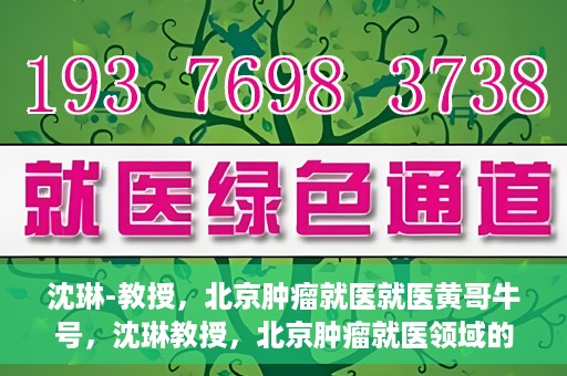 沈琳-教授，北京肿瘤就医就医黄哥牛号，沈琳教授，北京肿瘤就医领域的权威解读与黄哥牛号就医指南
