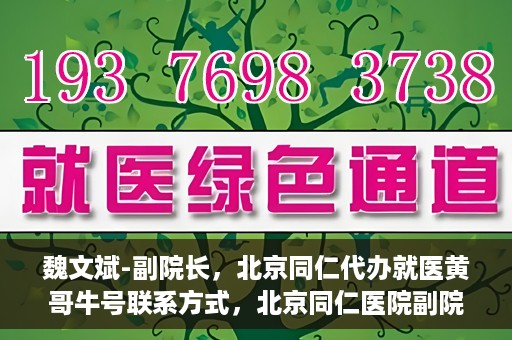魏文斌-副院长，北京同仁代办就医黄哥牛号联系方式，北京同仁医院副院长魏文斌与就医黄哥，牛号联系方式背后的故事
