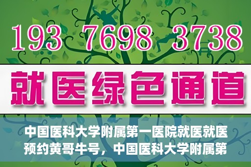 中国医科大学附属第一医院就医就医预约黄哥牛号，中国医科大学附属第一医院就医预约黄哥牛号，一站式便捷医疗体验新选择