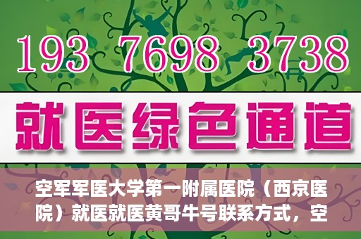 空军军医大学第一附属医院（西京医院）就医就医黄哥牛号联系方式，空军军医大学第一附属医院（西京医院）就医指南及黄哥牛号联系方式揭秘
