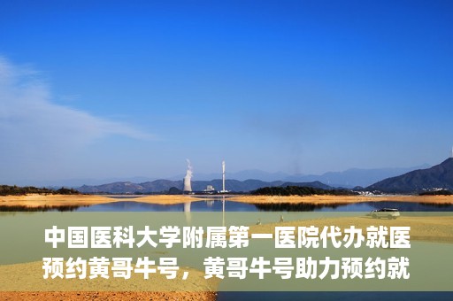 中国医科大学附属第一医院代办就医预约黄哥牛号，黄哥牛号助力预约就医，中国医科大学附属第一医院代办服务解析