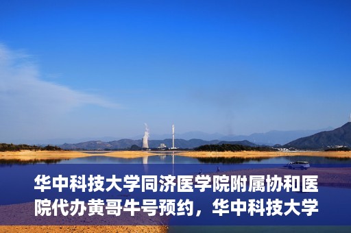 华中科技大学同济医学院附属协和医院代办黄哥牛号预约，华中科技大学同济医学院附属协和医院预约挂号代办服务解析——黄哥牛号预约攻略揭秘