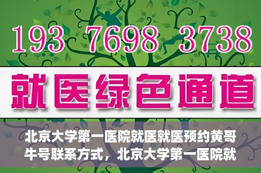 北京大学第一医院就医就医预约黄哥牛号联系方式，北京大学第一医院就医预约指南，黄哥牛号联系方式全解析