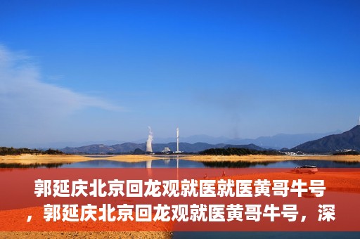 郭延庆北京回龙观就医就医黄哥牛号，郭延庆北京回龙观就医黄哥牛号，深度医疗体验与解读