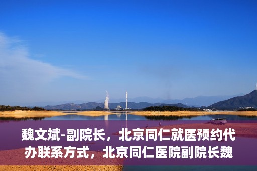 魏文斌-副院长，北京同仁就医预约代办联系方式，北京同仁医院副院长魏文斌，预约代办流程及联系方式解析