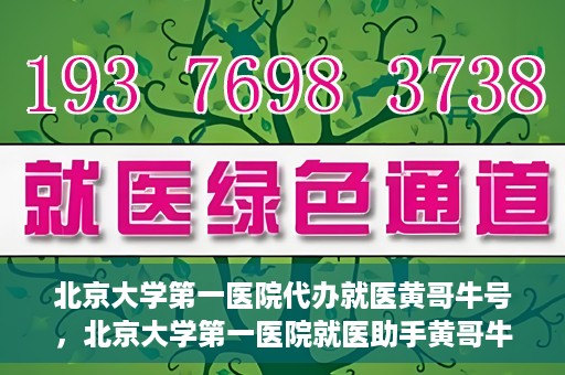 北京大学第一医院代办就医黄哥牛号，北京大学第一医院就医助手黄哥牛号助您轻松挂号就医