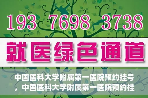 中国医科大学附属第一医院预约挂号，中国医科大学附属第一医院预约挂号指南，一站式解决您的就医难题