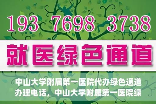 中山大学附属第一医院代办绿色通道办理电话，中山大学附属第一医院绿色通道办理流程及电话全解析