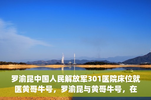 罗渝昆中国人民解放军301医院床位就医黄哥牛号，罗渝昆与黄哥牛号，在解放军301医院床位的就医故事