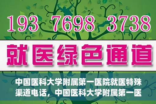中国医科大学附属第一医院就医特殊渠道电话，中国医科大学附属第一医院特殊就医渠道联系电话详解