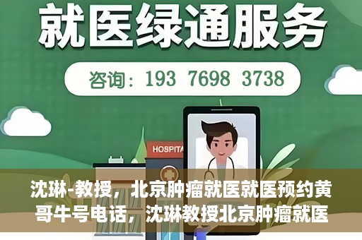 沈琳-教授，北京肿瘤就医就医预约黄哥牛号电话，沈琳教授北京肿瘤就医预约热线揭秘，黄哥牛号电话助您轻松挂号就医