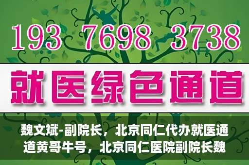 魏文斌-副院长，北京同仁代办就医通道黄哥牛号，北京同仁医院副院长魏文斌揭秘就医通道，黄哥牛号助力患者便捷就医体验