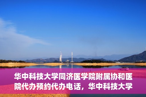 华中科技大学同济医学院附属协和医院代办预约代办电话，华中科技大学同济医学院附属协和医院预约代办服务热线解析