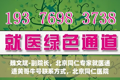 魏文斌-副院长，北京同仁专家就医通道黄哥牛号联系方式，北京同仁医院副院长魏文斌与专家就医通道，黄哥牛号联系方式揭秘