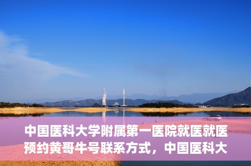 中国医科大学附属第一医院就医就医预约黄哥牛号联系方式，中国医科大学附属第一医院就医预约指南，黄哥牛号联系方式揭秘