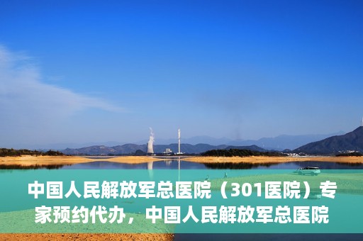 中国人民解放军总医院（301医院）专家预约代办，中国人民解放军总医院（301医院）专家预约代办服务详解