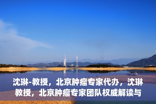 沈琳-教授，北京肿瘤专家代办，沈琳教授，北京肿瘤专家团队权威解读与代办服务解析