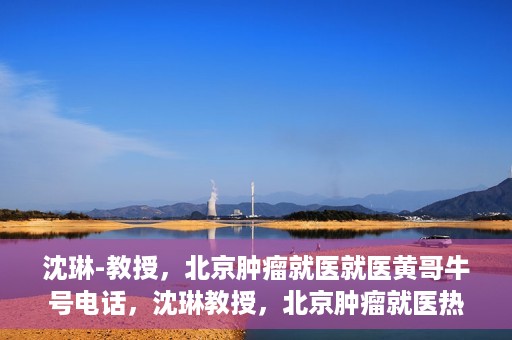 沈琳-教授，北京肿瘤就医就医黄哥牛号电话，沈琳教授，北京肿瘤就医热线黄哥牛号揭秘