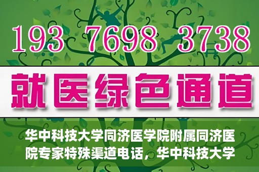 华中科技大学同济医学院附属同济医院专家特殊渠道电话，华中科技大学同济医院专家特殊渠道电话专线揭秘
