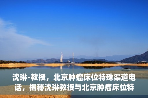 沈琳-教授，北京肿瘤床位特殊渠道电话，揭秘沈琳教授与北京肿瘤床位特殊渠道电话的幕后故事
