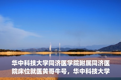华中科技大学同济医学院附属同济医院床位就医黄哥牛号，华中科技大学同济医院床位就医攻略，黄哥牛号助您轻松预约就医