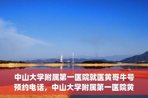中山大学附属第一医院就医黄哥牛号预约电话，中山大学附属第一医院黄哥牛号预约电话及就医指南