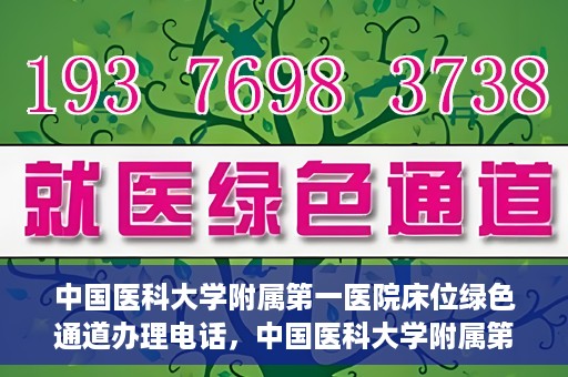 中国医科大学附属第一医院床位绿色通道办理电话，中国医科大学附属第一医院床位绿色通道咨询热线揭秘