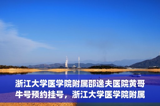 浙江大学医学院附属邵逸夫医院黄哥牛号预约挂号，浙江大学医学院附属邵逸夫医院黄哥名医号预约挂号攻略