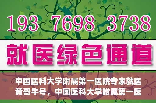 中国医科大学附属第一医院专家就医黄哥牛号，中国医科大学附属第一医院专家黄哥牛号解析就医攻略