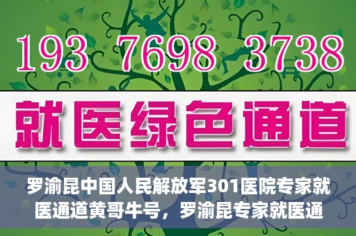 罗渝昆中国人民解放军301医院专家就医通道黄哥牛号，罗渝昆专家就医通道揭秘，中国人民解放军301医院黄哥牛号引领健康之路