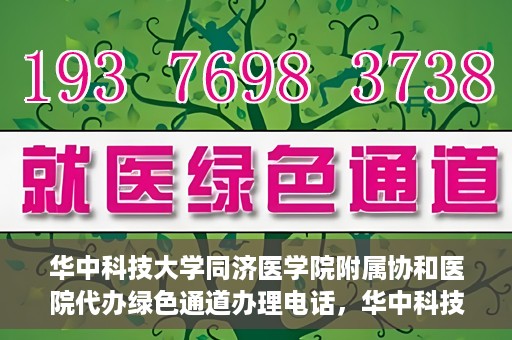 华中科技大学同济医学院附属协和医院代办绿色通道办理电话，华中科技大学同济医学院附属协和医院绿色通道办理指南及联系电话揭秘