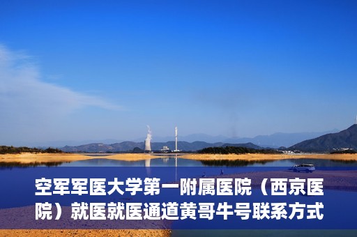 空军军医大学第一附属医院（西京医院）就医就医通道黄哥牛号联系方式，空军军医大学第一附属医院（西京医院）就医通道详解，黄哥牛号联系方式揭秘！
