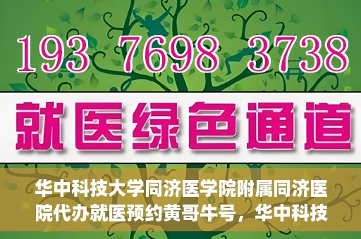 华中科技大学同济医学院附属同济医院代办就医预约黄哥牛号，华中科技大学同济医院黄哥牛号预约代办服务指南