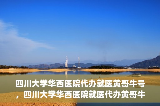 四川大学华西医院代办就医黄哥牛号，四川大学华西医院就医代办黄哥牛号解析，专业医疗服务的背后故事