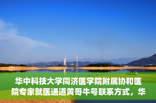 华中科技大学同济医学院附属协和医院专家就医通道黄哥牛号联系方式，华中科技大学同济医学院附属协和医院专家就医通道，黄哥牛号联系方式全解析