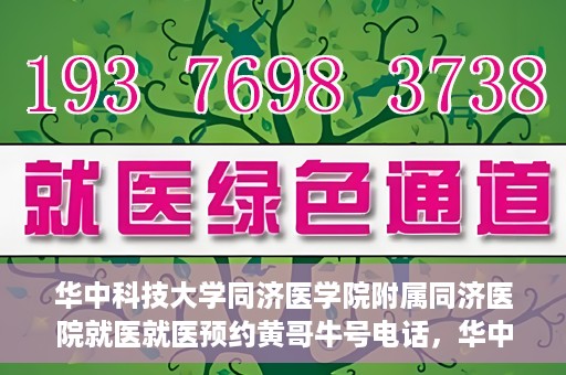 华中科技大学同济医学院附属同济医院就医就医预约黄哥牛号电话，华中科技大学同济医院就医预约指南，黄哥牛号电话全解析