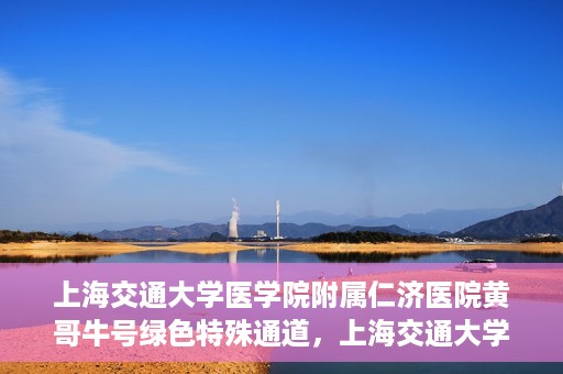 上海交通大学医学院附属仁济医院黄哥牛号绿色特殊通道，上海交通大学医学院附属仁济医院绿色特殊通道，黄哥牛号启动