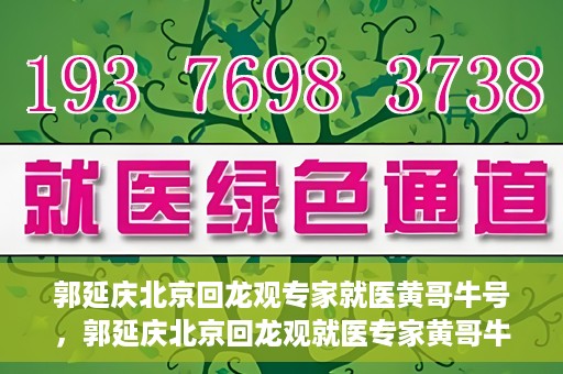 郭延庆北京回龙观专家就医黄哥牛号，郭延庆北京回龙观就医专家黄哥牛号揭秘，专业医术与人文关怀的双重优势